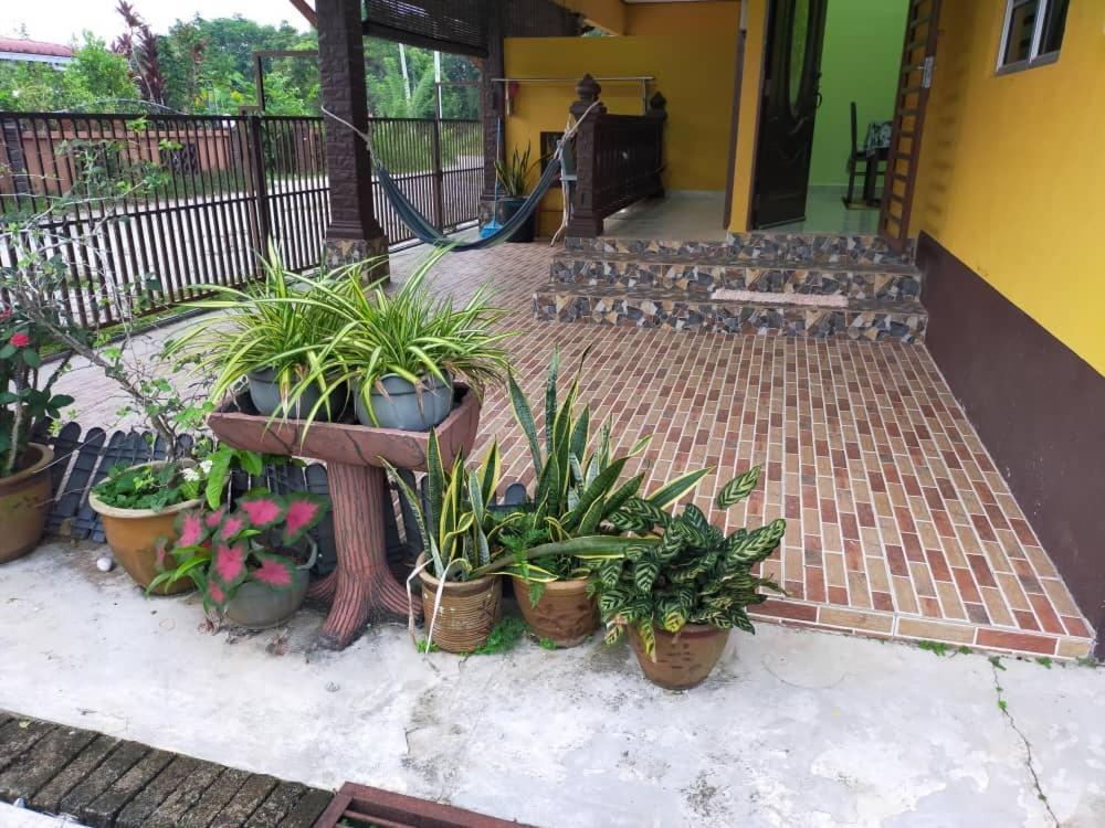 Rumah Tumpangan Di Kuala Terengganu, Terengganu Homestay D Exterior photo